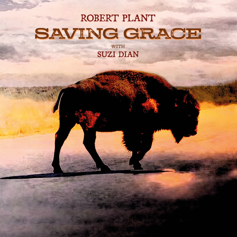 Saving Grace (140G Black Vinyl) [Vinyl]