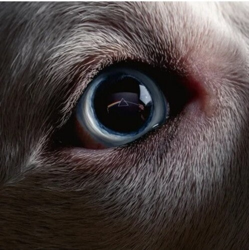 The Dark Side Of The Moon Redux (140 Gram Vinyl) (2 Lp's) [Vinyl] (ONLINE ORDER ONLY)