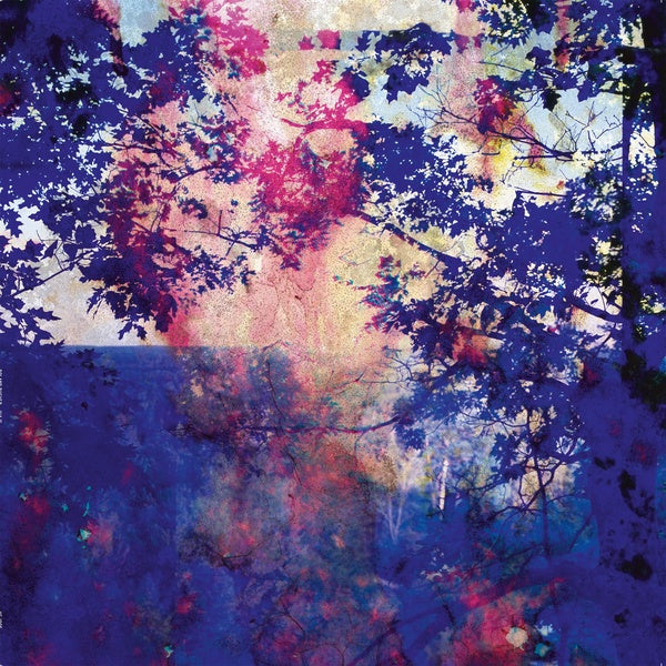 ROLAND BUCHER - Viaje [Vinyl] (ONLINE ORDER ONLY)