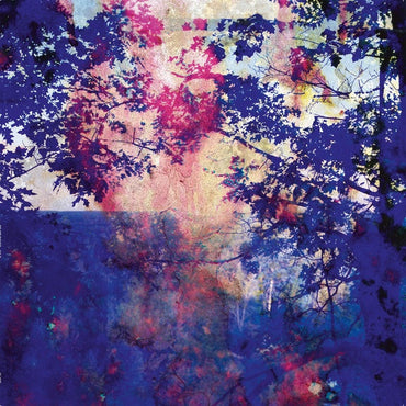 ROLAND BUCHER - Viaje [Vinyl] (ONLINE ORDER ONLY)