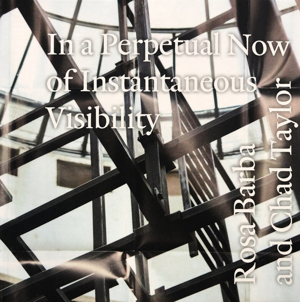ROSA BARBA AND CHAD TAYLOR - In a Perpetual Now of Instantaneous Visibility [CD] (ONLINE ORDER ONLY)
