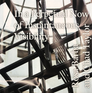 ROSA BARBA AND CHAD TAYLOR - In a Perpetual Now of Instantaneous Visibility [CD] (ONLINE ORDER ONLY)