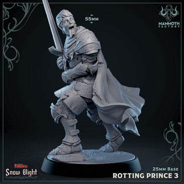 Rotting Prince 3 (Male Undead Human Noble) (Online Order Only)