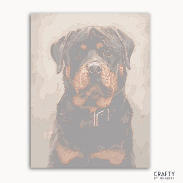 Rottweiler Dog (ONLINE ORDER ONLY)