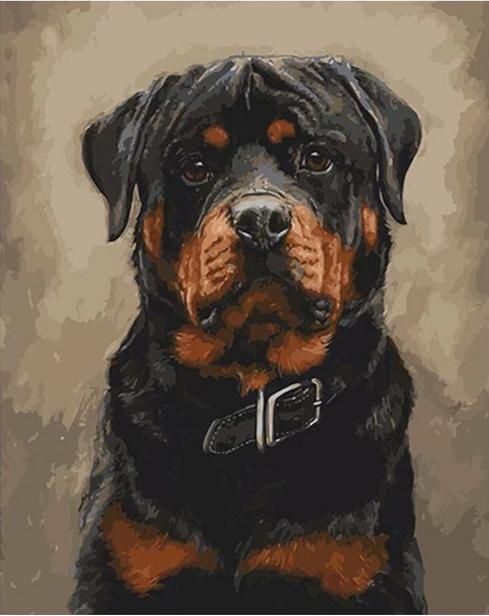 Rottweiler Dog (ONLINE ORDER ONLY)
