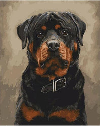 Rottweiler Dog (ONLINE ORDER ONLY)