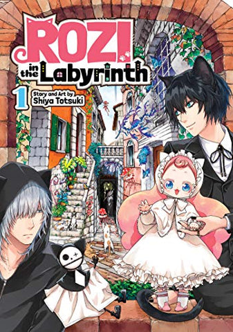 Rozi in the Labyrinth Vol 1 (Online Order Only)