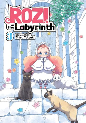 Rozi in the Labyrinth Vol 3 (Online Order Only)