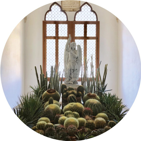 San Pedro [Vinyl]