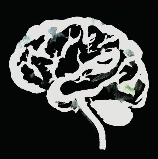 Ruins - Brain Flakes (The Lost Combo Tapes) [Vinyl]
