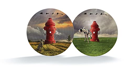 Rush - Signals (40th Anniversary) [Picture Disc LP] [Vinyl] (ONLINE ORDER ONLY)