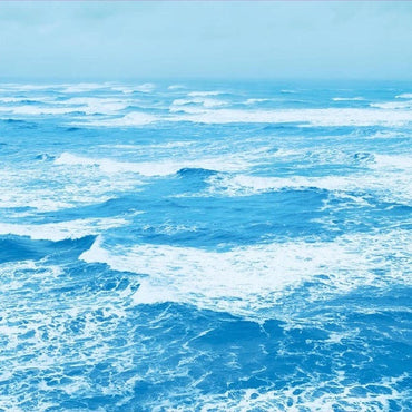 RYO FUKUI - A Letter from Slowboat [CD] (ONLINE ORDER ONLY)