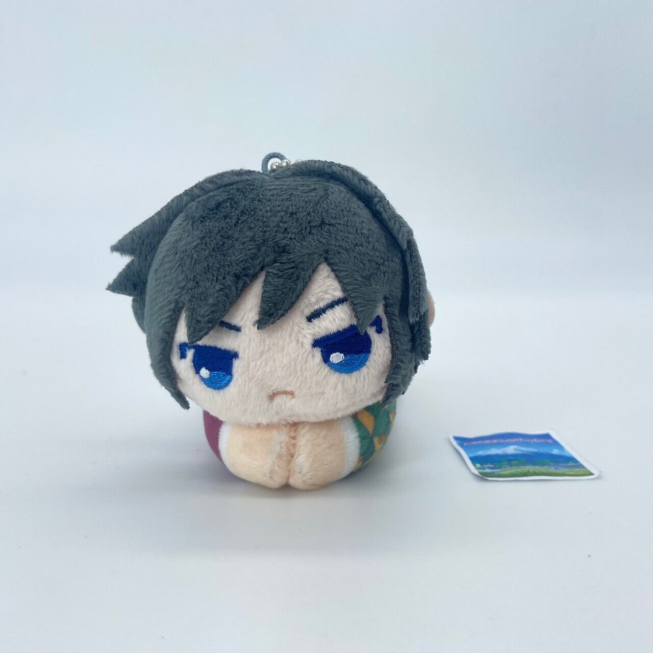 Giyu Tomioka Demon Slayer Hug Chara Collection Plush 3