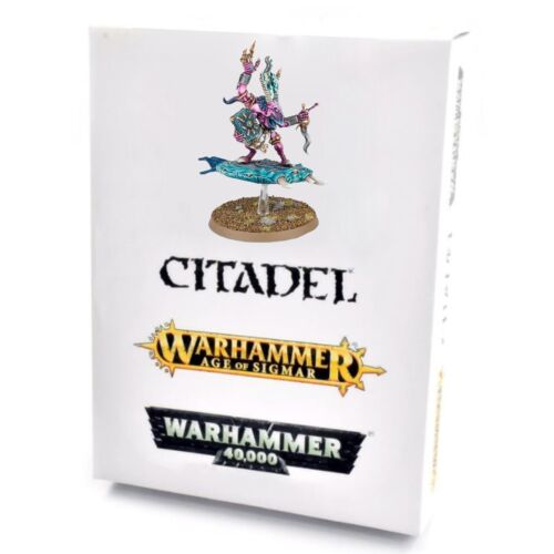 Warhammer: Disciples of Tzeentch - Fluxmaster, Herald of Tzeentch (ONLINE ORDER ONLY)