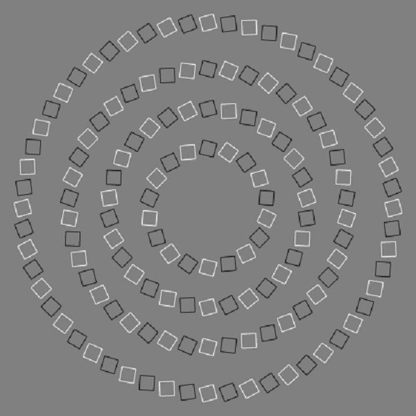 Saafron - Reishi [Vinyl] (ONLINE ORDER ONLY)