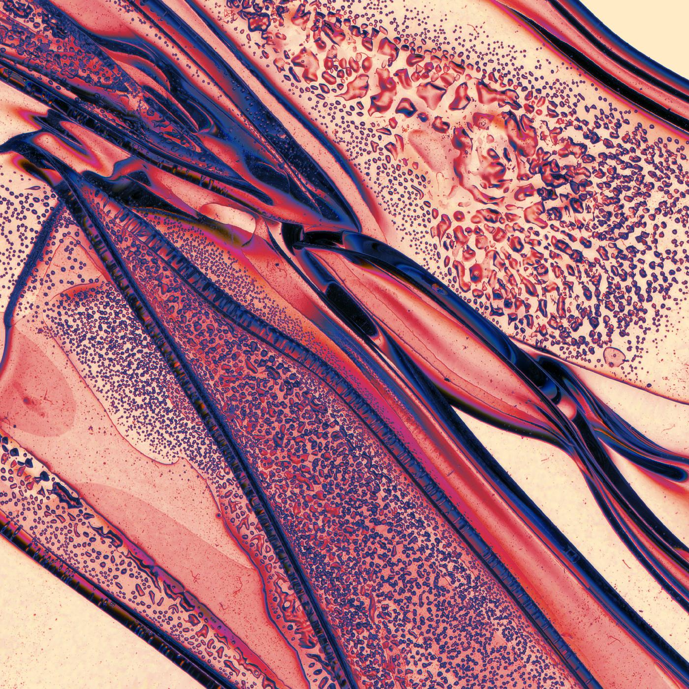 For the Makers [Vinyl] (ONLINE ORDER ONLY)