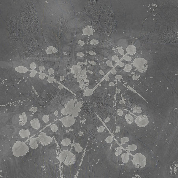 Music For Melted Floors [Vinyl]