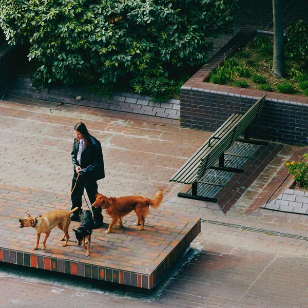 Way Back Home [Vinyl] (ONLINE ORDER ONLY)