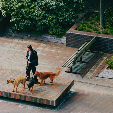 Way Back Home [Vinyl] (ONLINE ORDER ONLY)