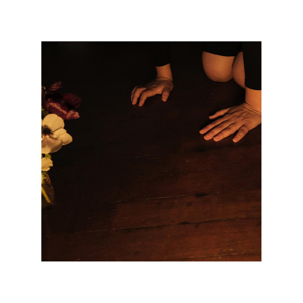 In The Tender Dream [CD] (ONLINE ORDER ONLY)