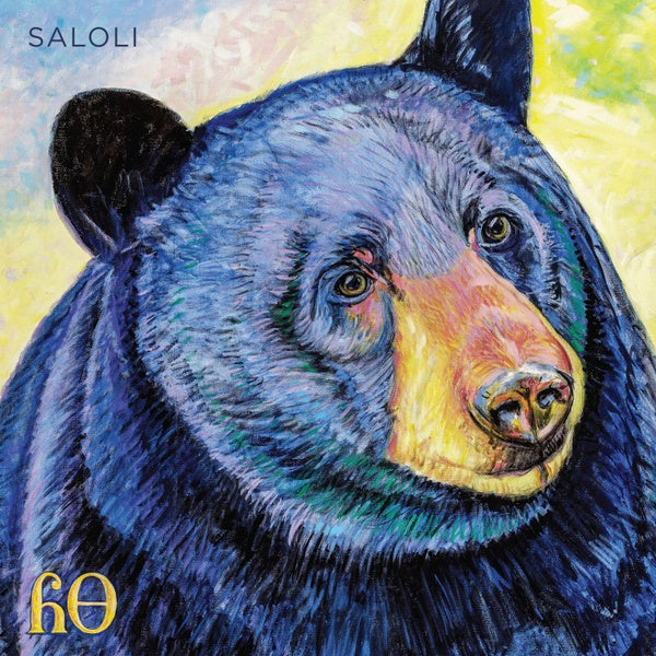 SALOLI - Canyon [Vinyl]
