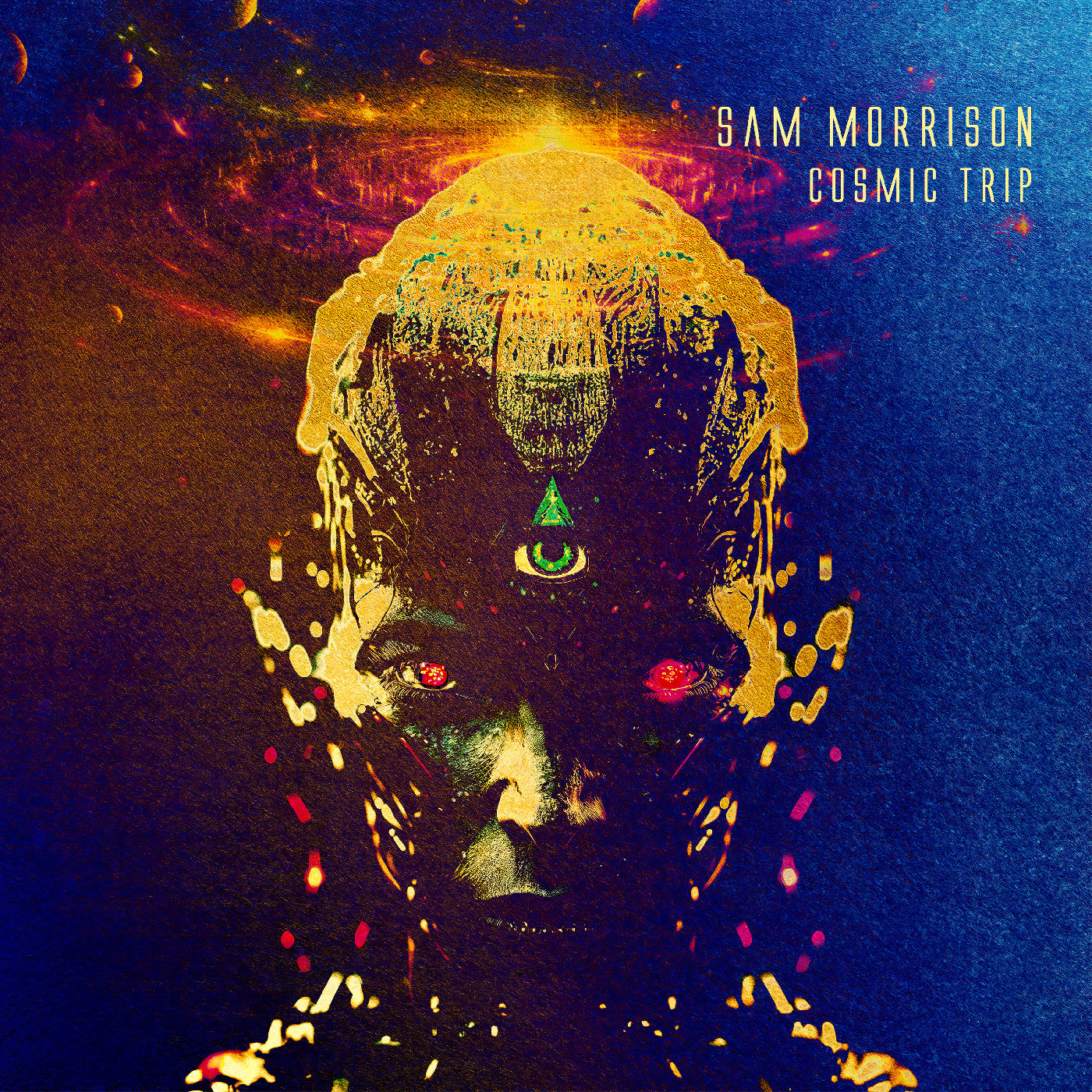 Cosmic Trip [CD] (ONLINE ORDER ONLY)