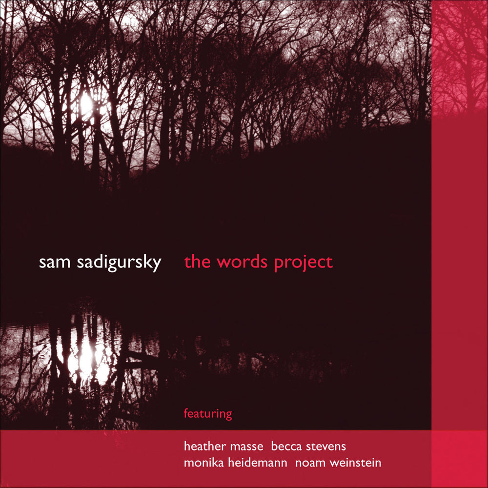 The Words Project [CD] (ONLINE ORDER ONLY)