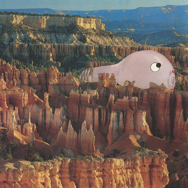 SANA SHENAI - Warm Former [Vinyl] (ONLINE ORDER ONLY)