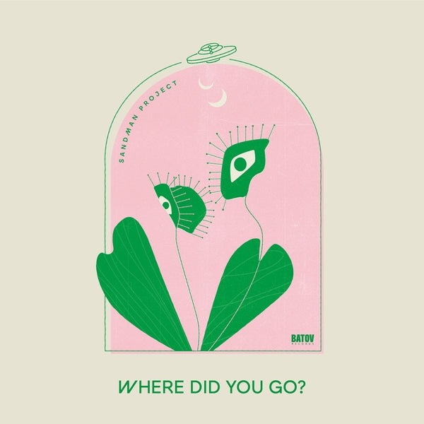 Where Did You Go? [Vinyl]