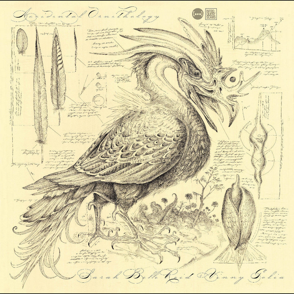 Accidental Ornithology [CD]