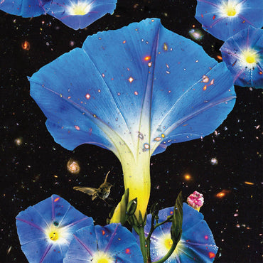 Sarah Louise - Nighttime Birds and Morning Stars [Vinyl] (ONLINE ORDER ONLY)