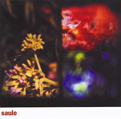 Saule [CD]