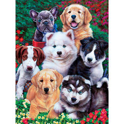 Playful Paws - Fluffy Fuzzballs 300 Piece EZ Grip Jigsaw Puzzle (ONLINE ORDER ONLY)