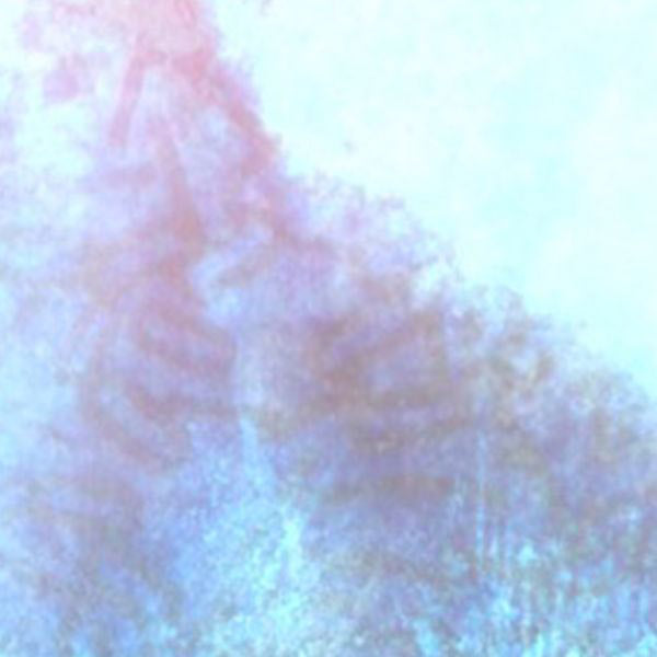 SCUBA DEATH - The Worm At The Core [Vinyl]