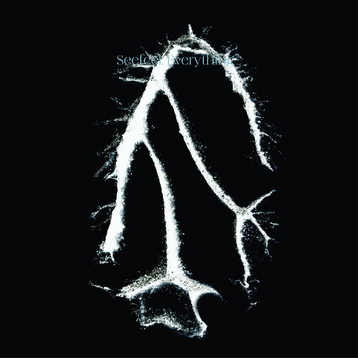 Everything Squared [Vinyl]