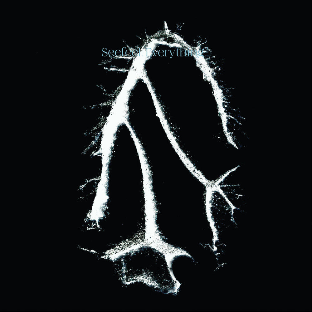 Everything Squared [Vinyl]