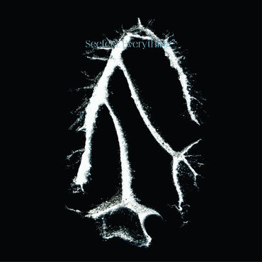 Everything Squared [Vinyl]