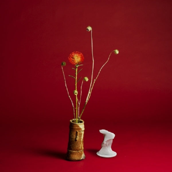 Collapse [Vinyl] (ONLINE ORDER ONLY)