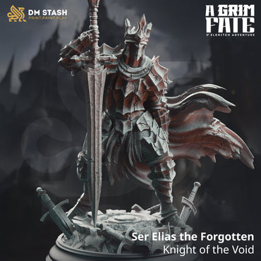 Ser Elias the Forgotten, Knight of the Void (Male Human Paladin) (Online Only)