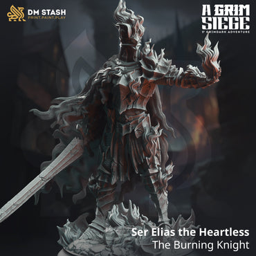Ser Elias the Heartless, The Burning Knight (Male Human Cursed Paladin) (Online Order Only)
