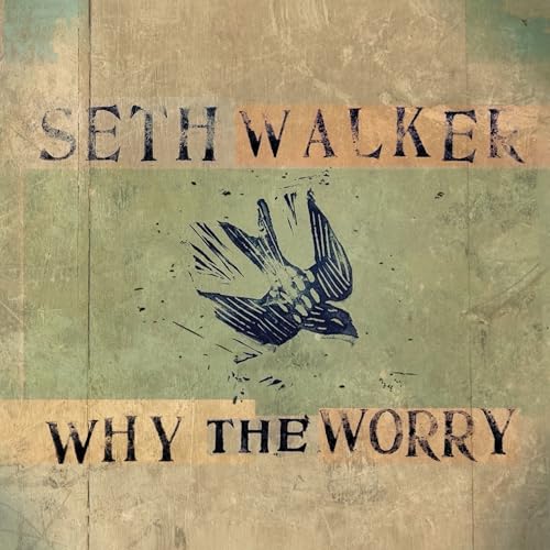 Why The Worry [Vinyl]