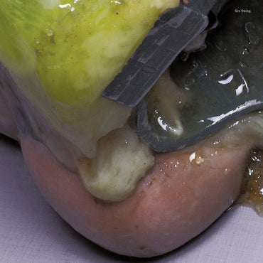 Sex Swing - Sex Swing [CD] (ONLINE ORDER ONLY)