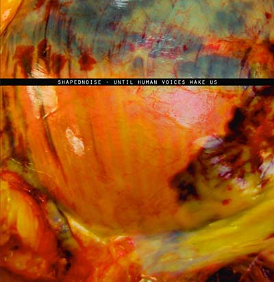 Until Human Voices Wake Us [Vinyl]