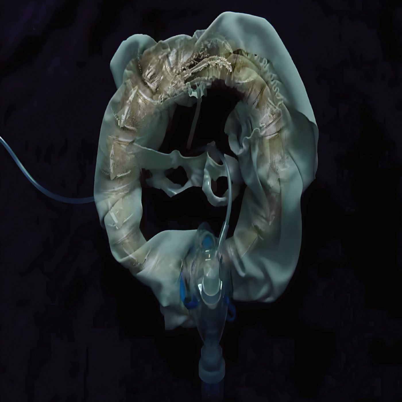 Initiatrix [Vinyl] (ONLINE ORDER ONLY)