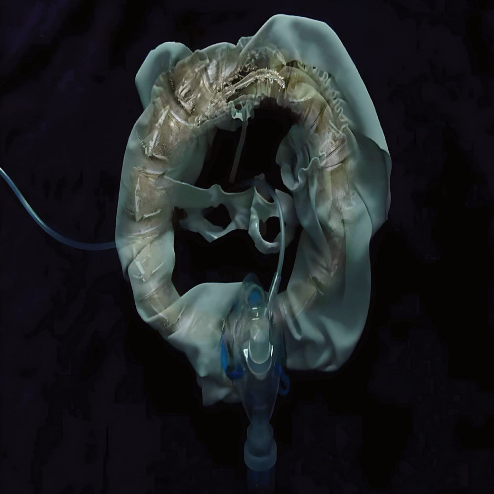 Initiatrix [Vinyl] (ONLINE ORDER ONLY)