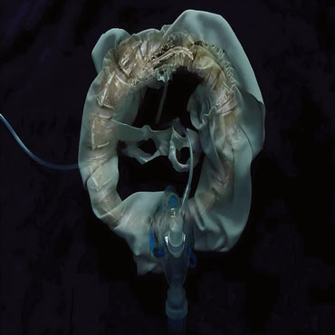 Initiatrix [Vinyl] (ONLINE ORDER ONLY)