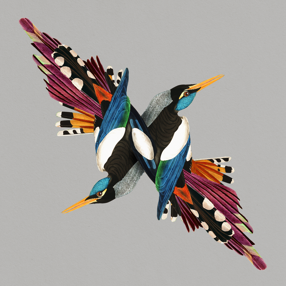 Tomorrows People [CD] (ONLINE ORDER ONLY)