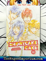 Shortcake Cake Vol 12 (Online Order Only)