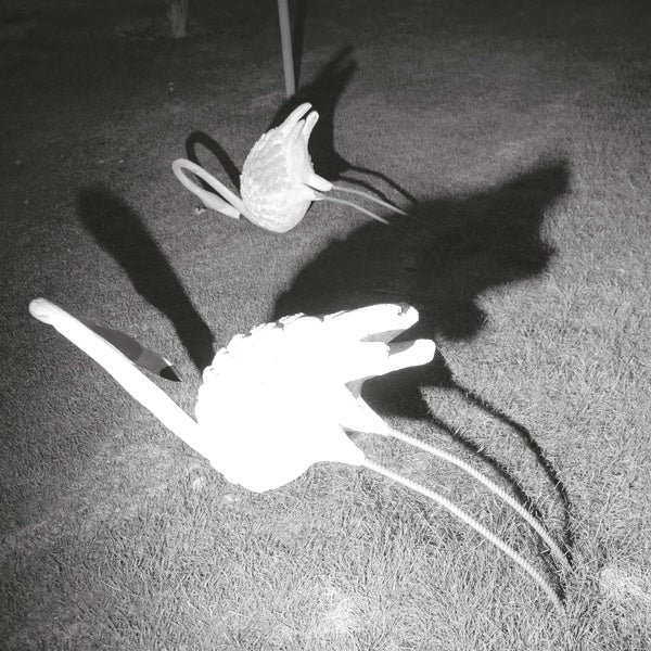 Siavash Amini - A Mimesis of Nothingness [Vinyl] (ONLINE ORDER ONLY)