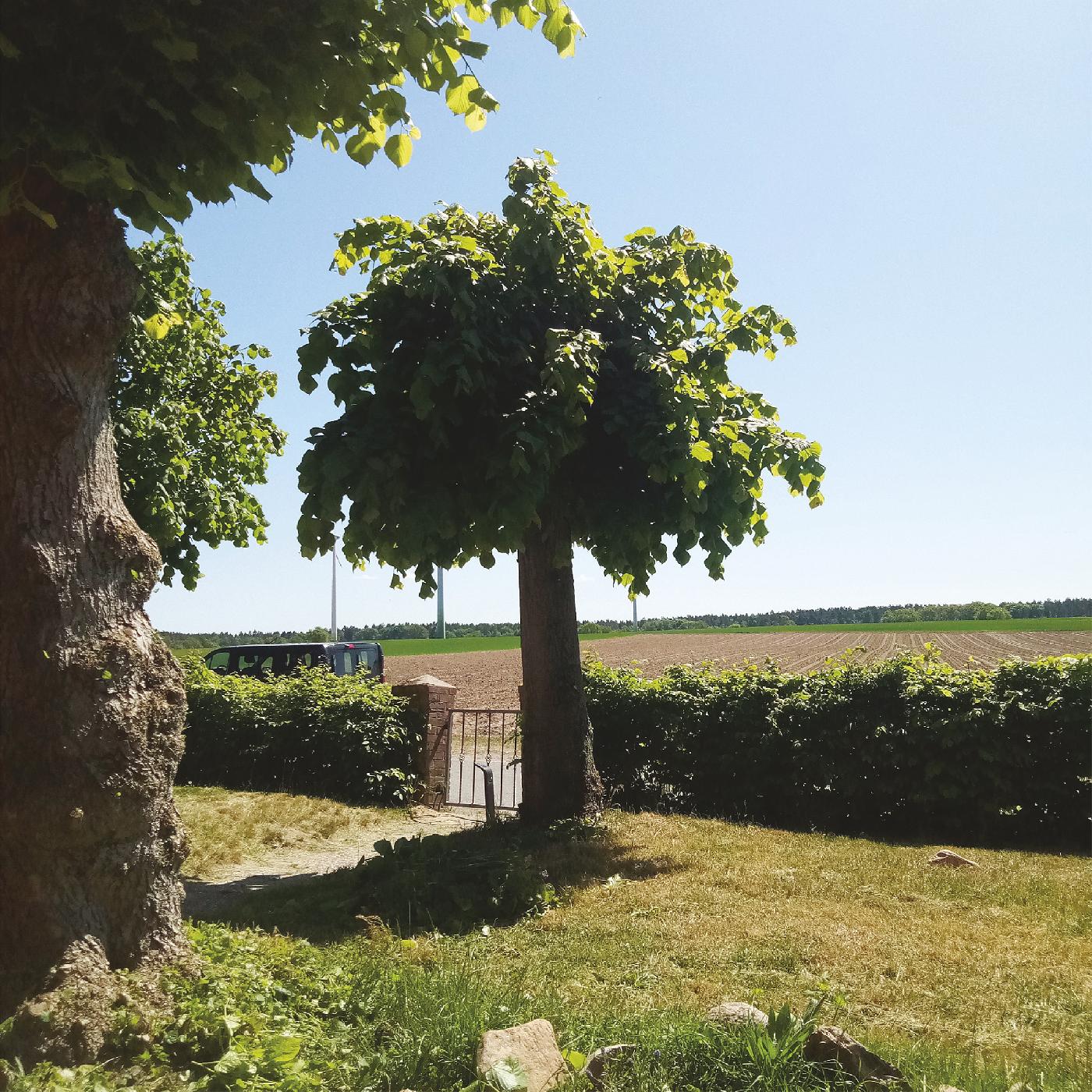 Sigtryggur Berg Sigmarsson - Into the Second Half [Vinyl] (ONLINE ORDER ONLY)